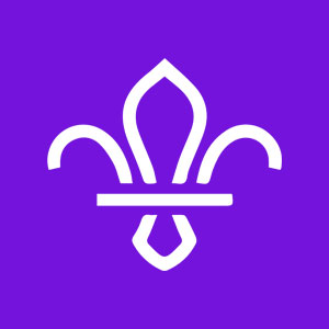 surrey scouts